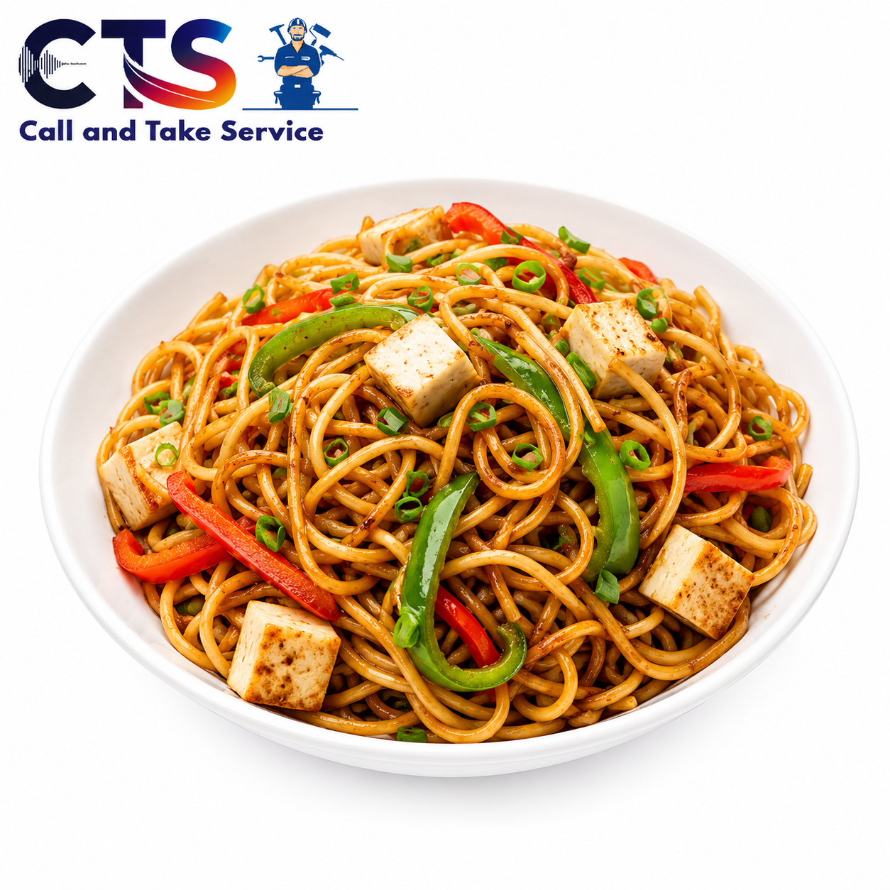 Paneer noodles