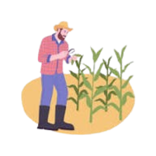 Crop Management Services