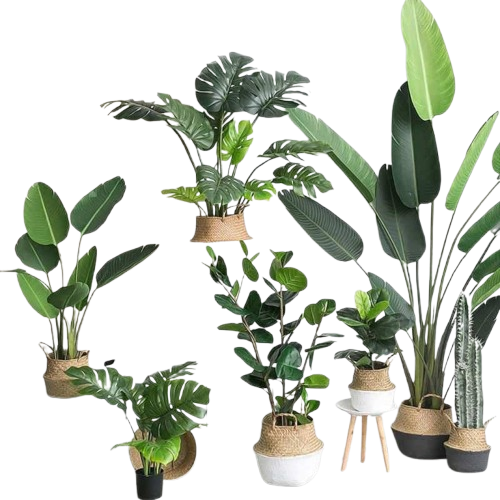 Artificial Plants