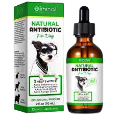 Antibiotics for Pets