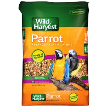 Birds Food