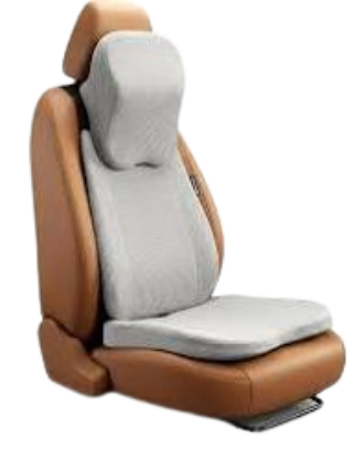 Car Cushions