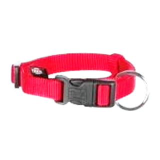Dog Accessories