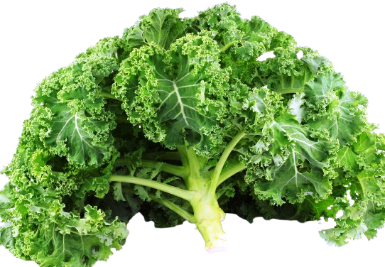 Exotic Leafy Greens