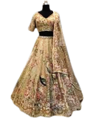 Festive Lehenga Choli