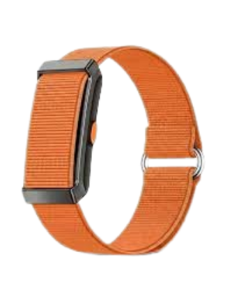 Fitness Bands