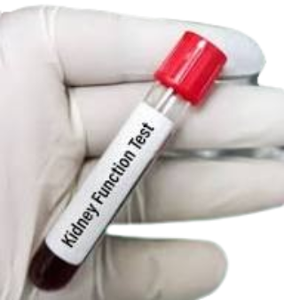 Kidney Function Tests