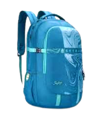 Laptop Bags