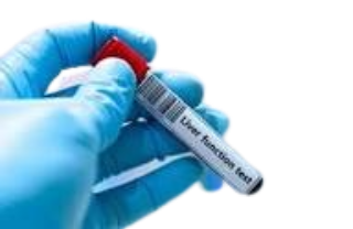 Liver Function Tests