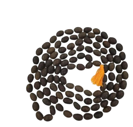 Lotus Seed Mala