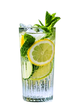Mint Refreshers