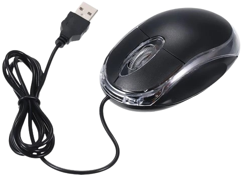 Mouse