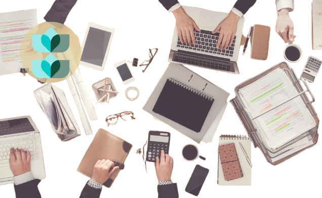 Office Accounting Software