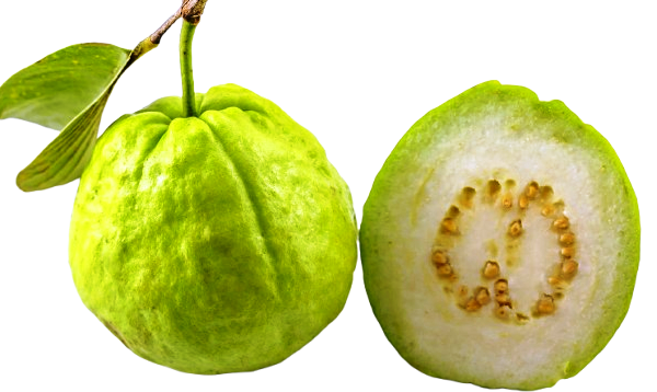 Organic Fruits