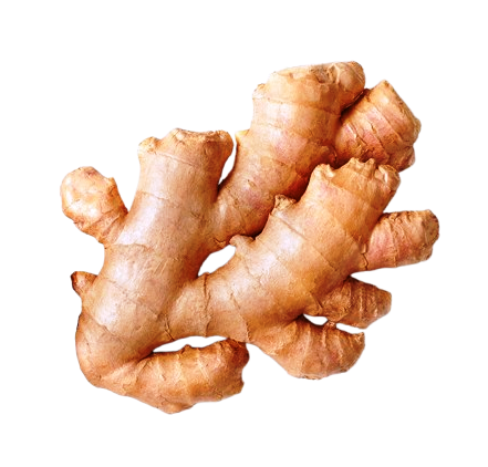 Organic Root