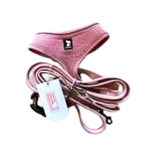 Pet Travel Leashes