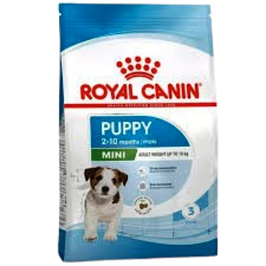 Puppy Food