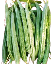 Rainy Season Vegetables