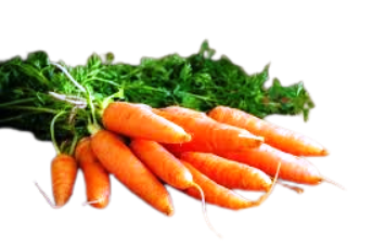 Salad Root Vegetables