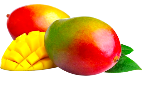 Seasonal Fruits