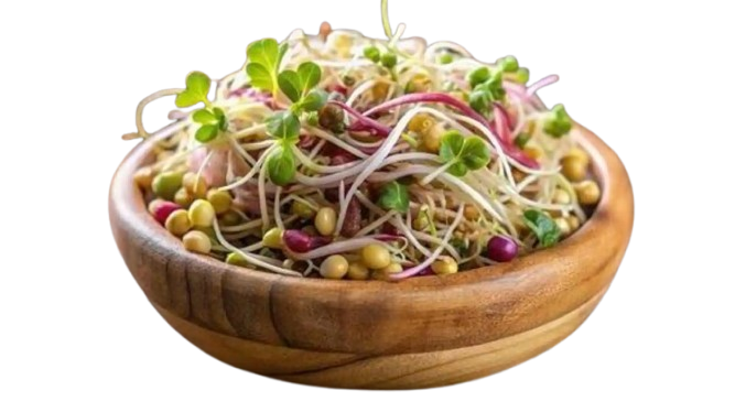 Sprouts & Beans Salad