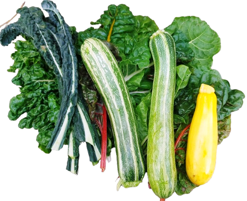 Summer Vegetables