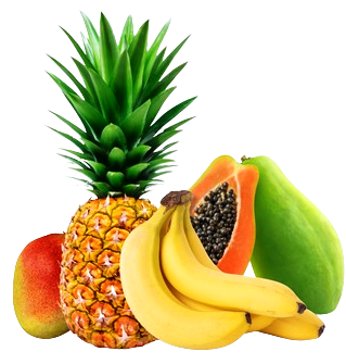 Tropical Fruits