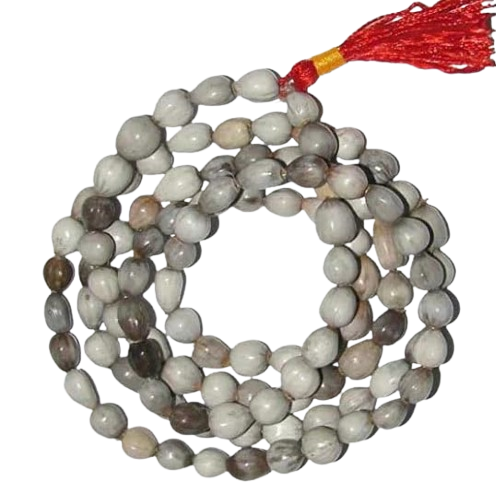 Vaijanti Mala